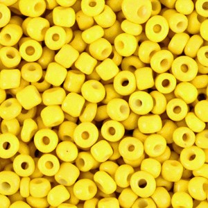 SEED-31