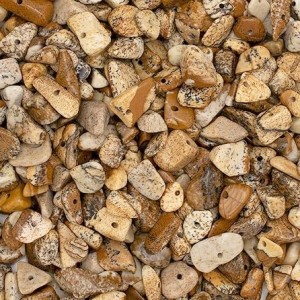 Chips Picture Jasper