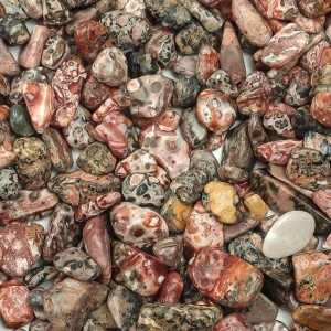 Chips Leopard Skin Jasper