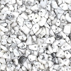 Chips Beli Howlite