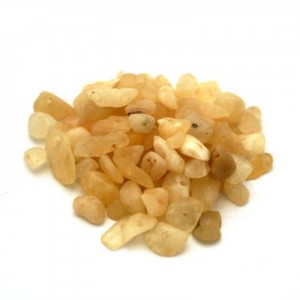 Poludragi chips,04
