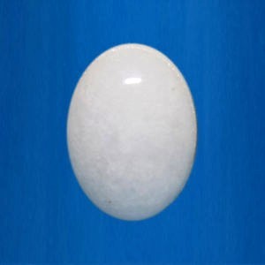 Beli Zad Oval 25 mm
